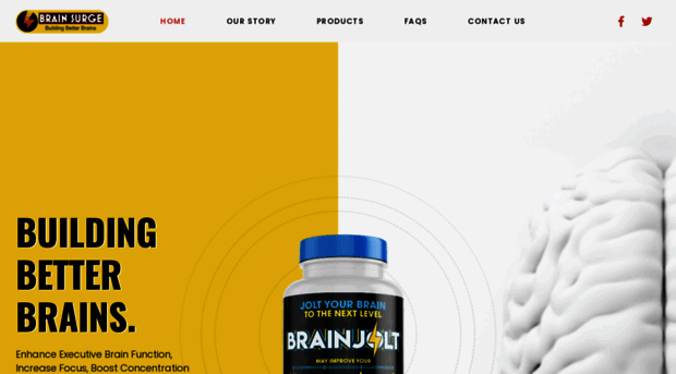 brain-surge.com