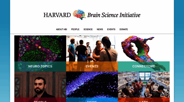 brain.harvard.edu