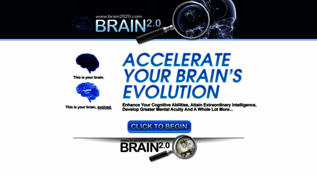 brain2020.com