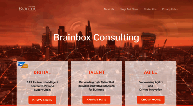 brainbox.consulting