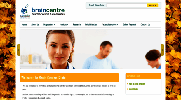 braincentre.in