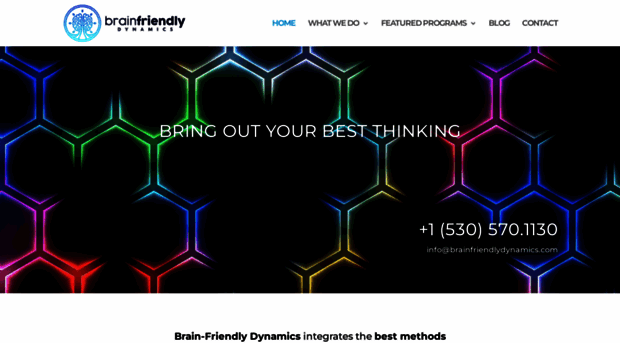 brainfriendlydynamics.com
