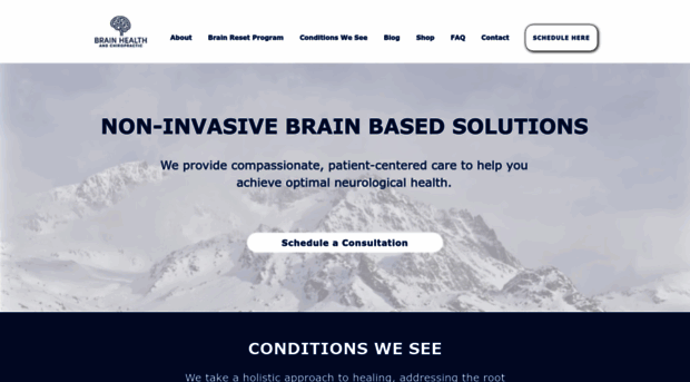 brainhealthandchiro.com