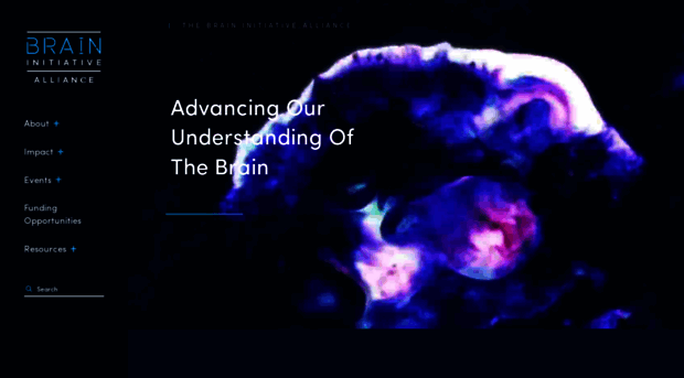 braininitiative.org