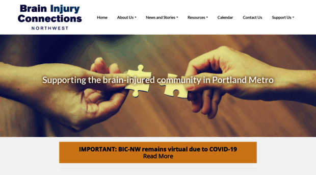 braininjuryconnectionsnw.org