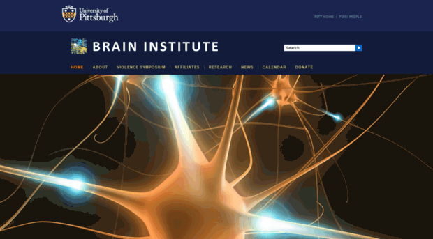 braininstitute.pitt.edu