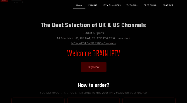 brainiptv.com