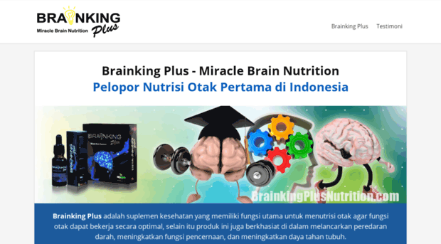 brainkingplusnutrition.com