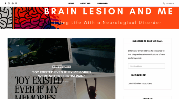 brainlesionandme.com