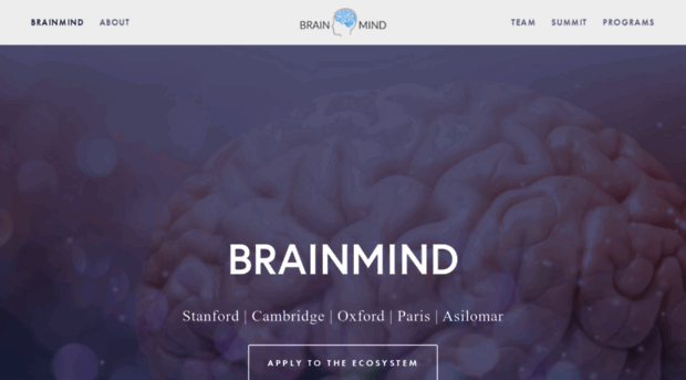 brainmindsummit.com