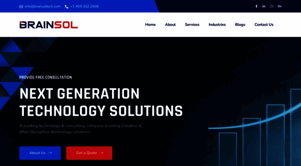 brainsoltech.com