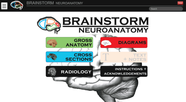 brainstormneuro.net