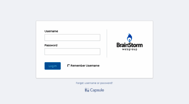 brainstormwebgroup.capsulecrm.com