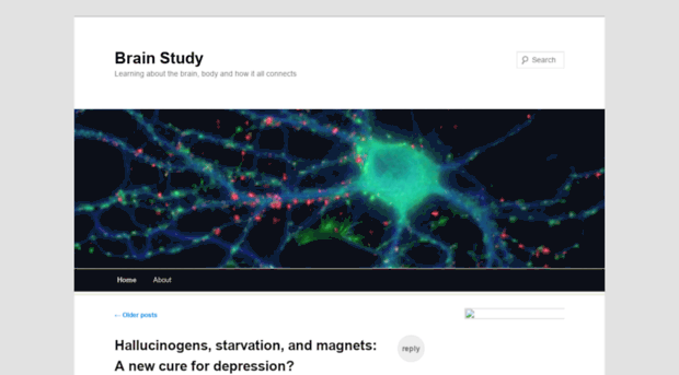 brainstudy.wordpress.com