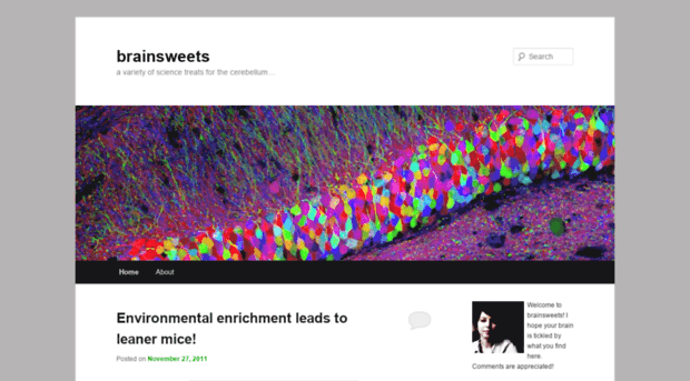 brainsweets.wordpress.com