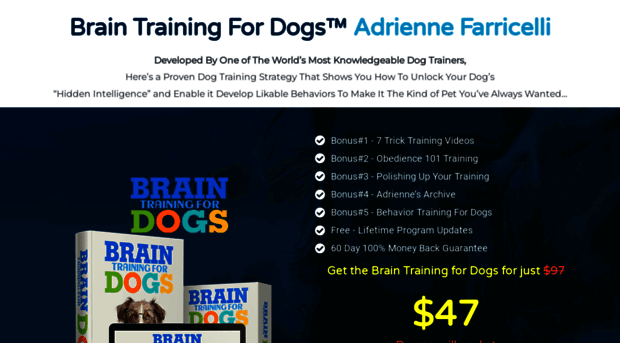 braintraining4dogsbook.club