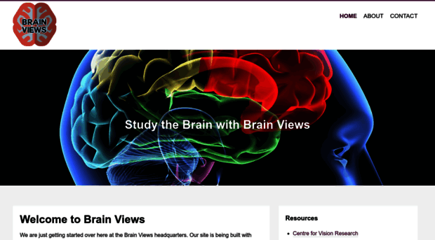 brainviews.com