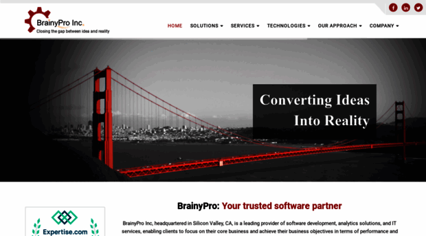 brainypro.com