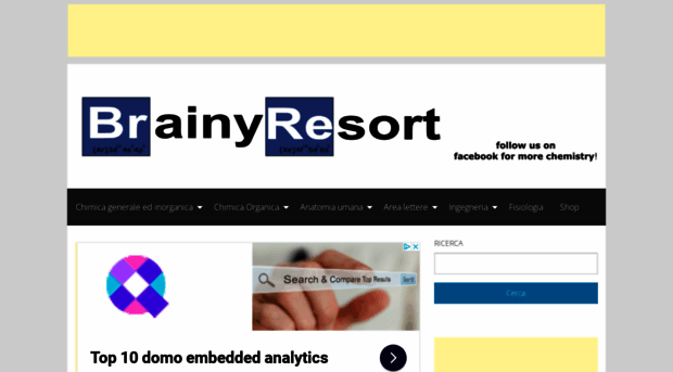 brainyresort.com