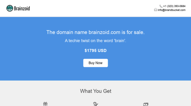 brainzoid.com