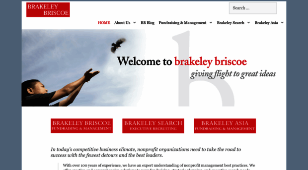 brakeleybriscoe.com