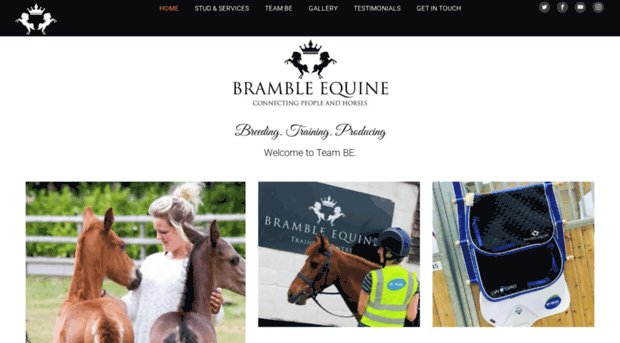 bramble-equine.co.uk