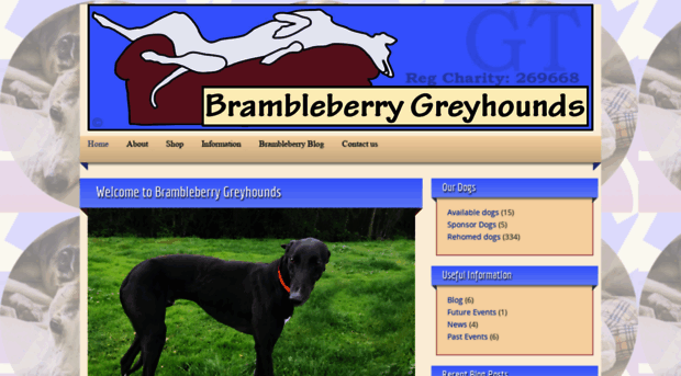 brambleberry-greyhounds.co.uk