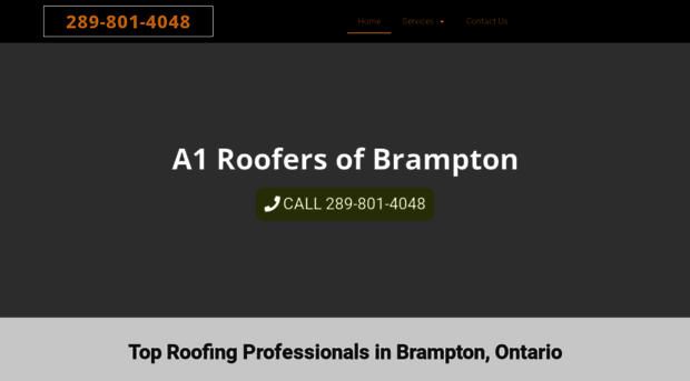 bramptonroofs.com