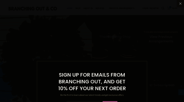 branchingoutco.com