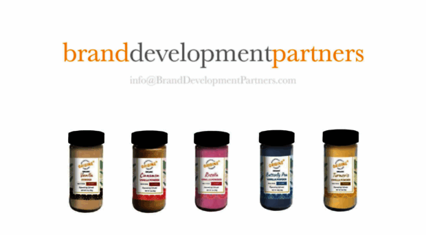 branddevelopmentpartners.com