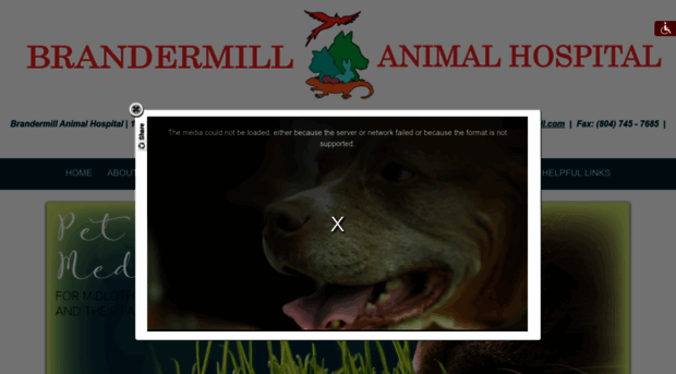 brandermillvet.com