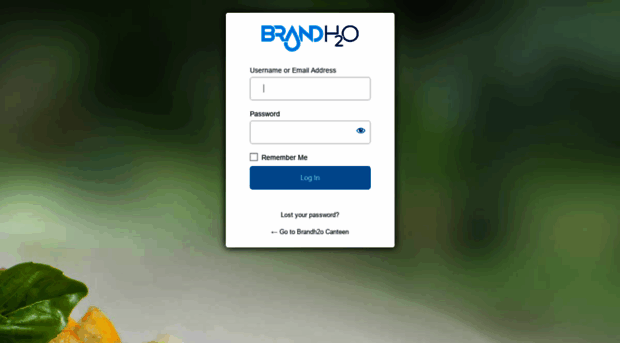 brandh2o.me