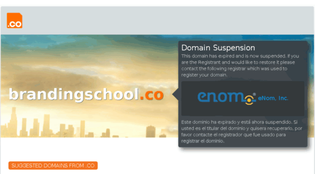 brandingschool.co