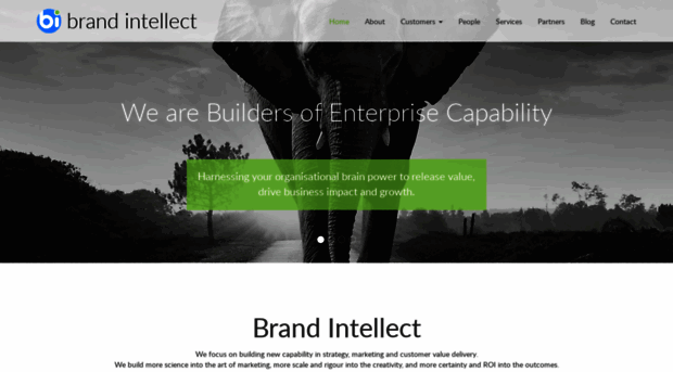 brandintellect.com