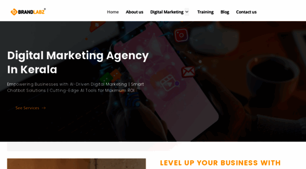 brandlabz.in