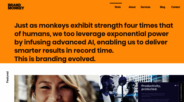 brandmonkey.com