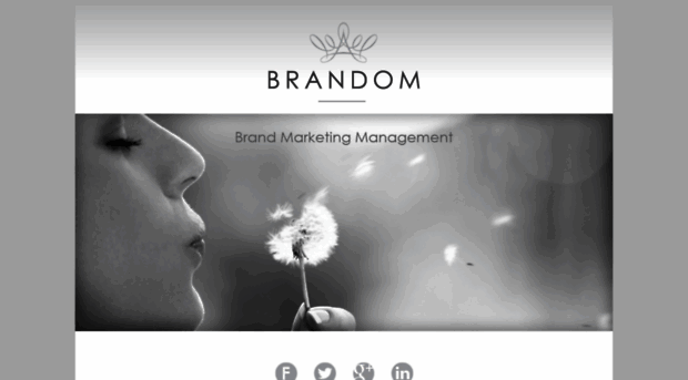 brandom.co.za