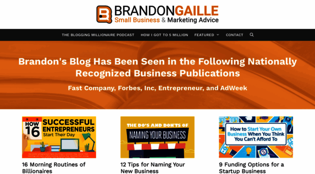 brandongaille.com