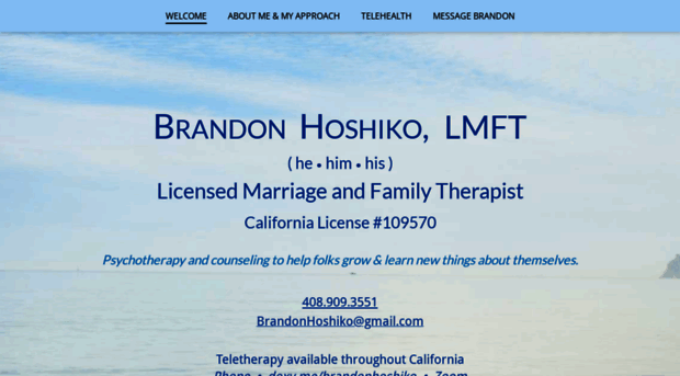 brandonhoshiko.com