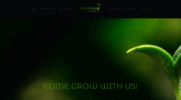 brandseedmarketing.ca