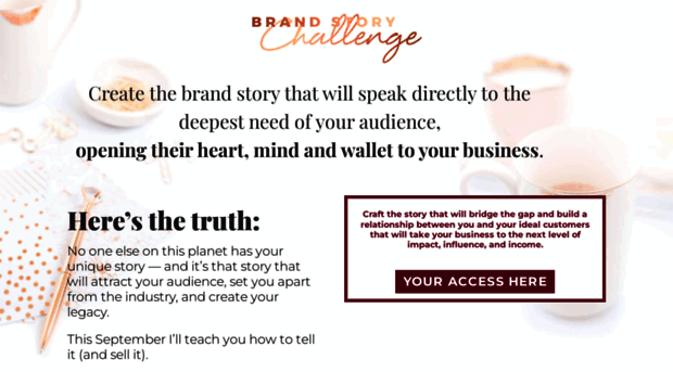 brandstorychallenge.com