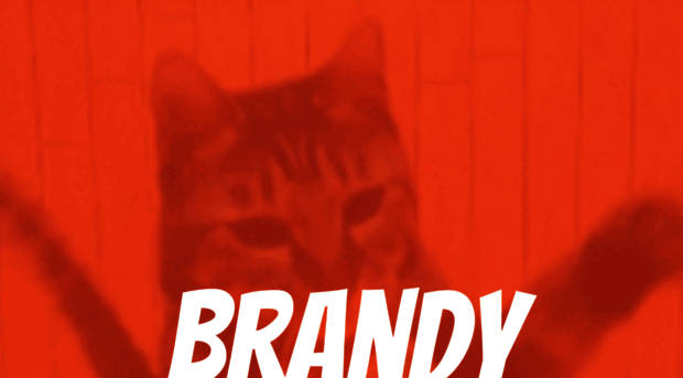 brandydigital.com