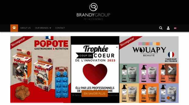 brandygroup.fr