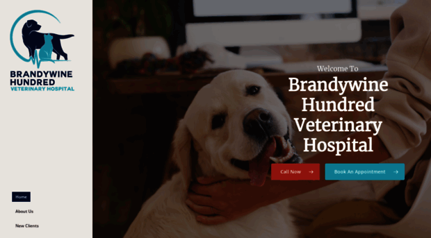 brandywinehundredvets.com