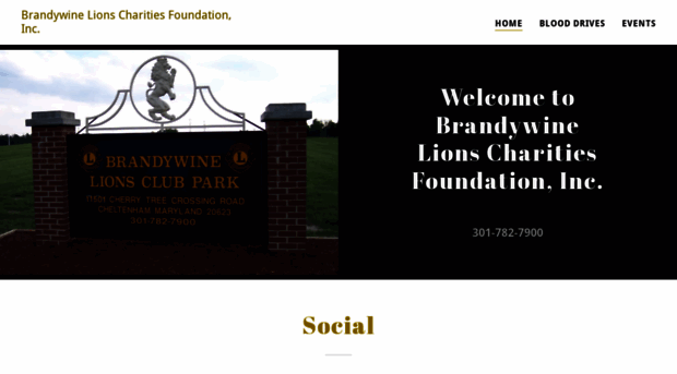 brandywinelions.com