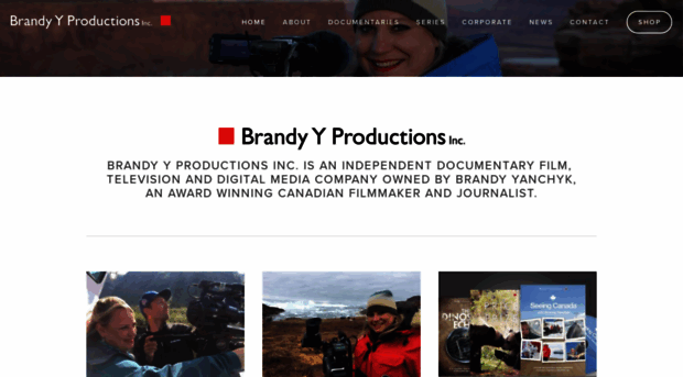 brandyyanchyk.com