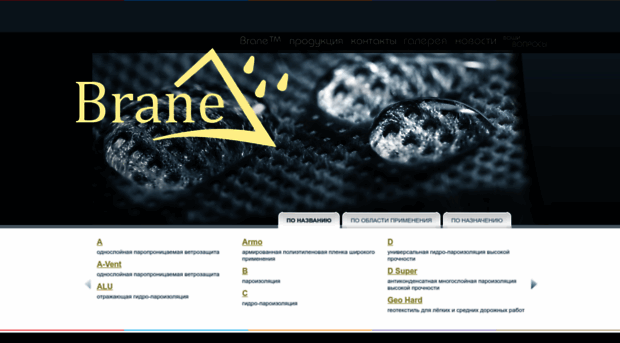 brane.ru