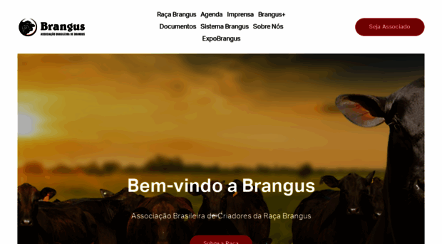 brangus.org.br