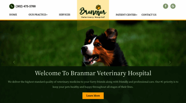 branmarveterinaryhospital.com