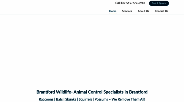 brantfordwildlife.ca